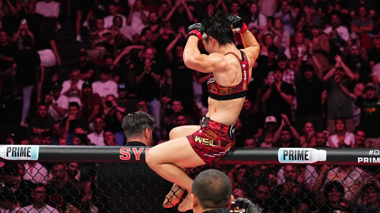 明星球员的 明星球员的